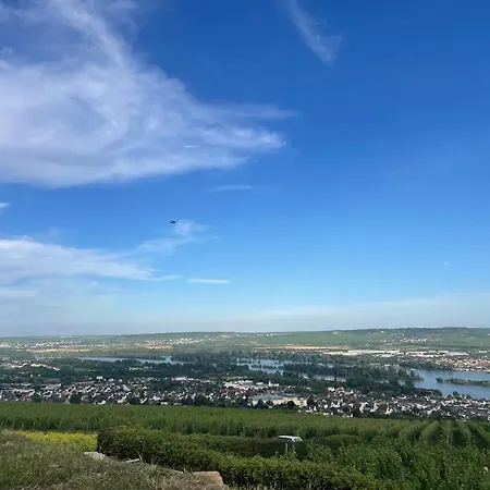 Grosse Direkt An Den Weinbergen Rüdesheim am Rhein