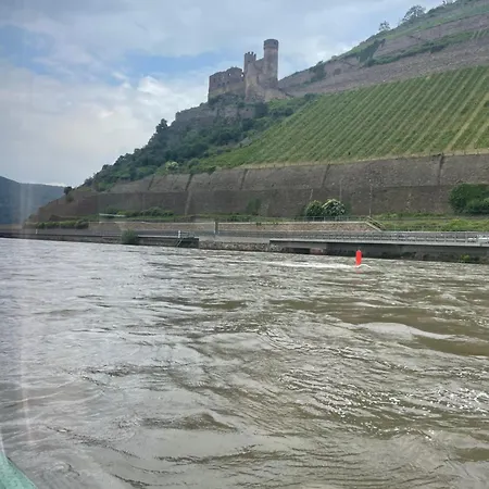 شقة Grosse Direkt An Den Weinbergen روديسهايم ام رين