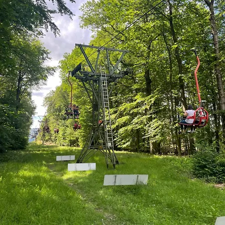 Grosse Direkt An Den Weinbergen