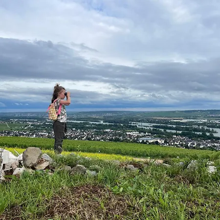شقة Grosse Direkt An Den Weinbergen *