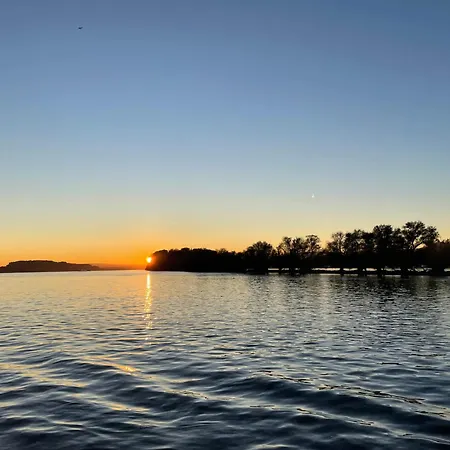 Grosse Direkt An Den Weinbergen شقة روديسهايم ام رين