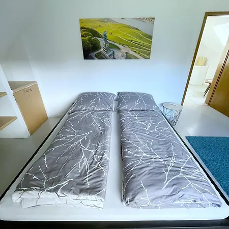 Grosse Direkt An Den Weinbergen *