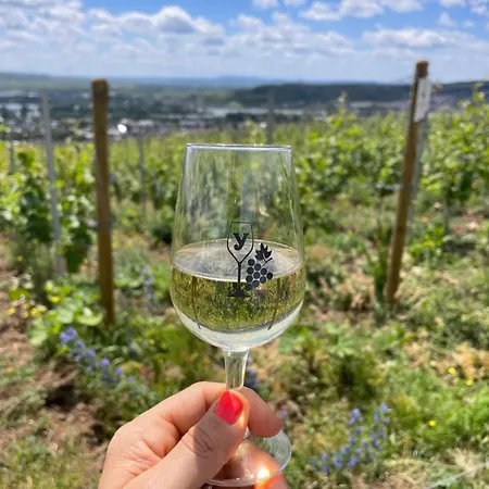 Appartement Grosse Direkt An Den Weinbergen Rüdesheim am Rhein