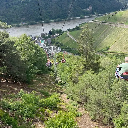 Grosse Direkt An Den Weinbergen *