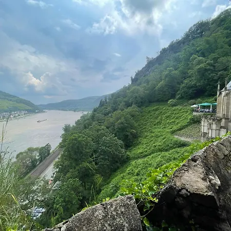 Grosse Direkt An Den Weinbergen *