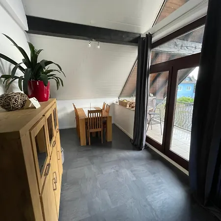 Grosse Direkt An Den Weinbergen * روديسهايم ام رين