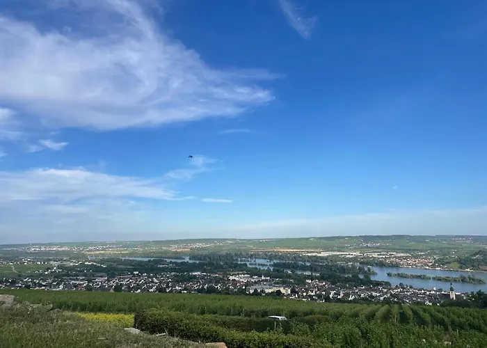 Grosse Direkt An Den Weinbergen Рюдесхайм-на-Рейне