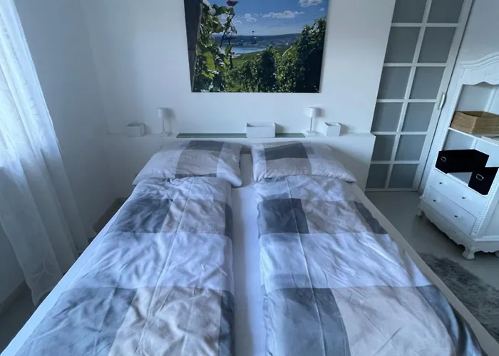 Grosse Direkt An Den Weinbergen * Рюдесхайм-на-Рейне