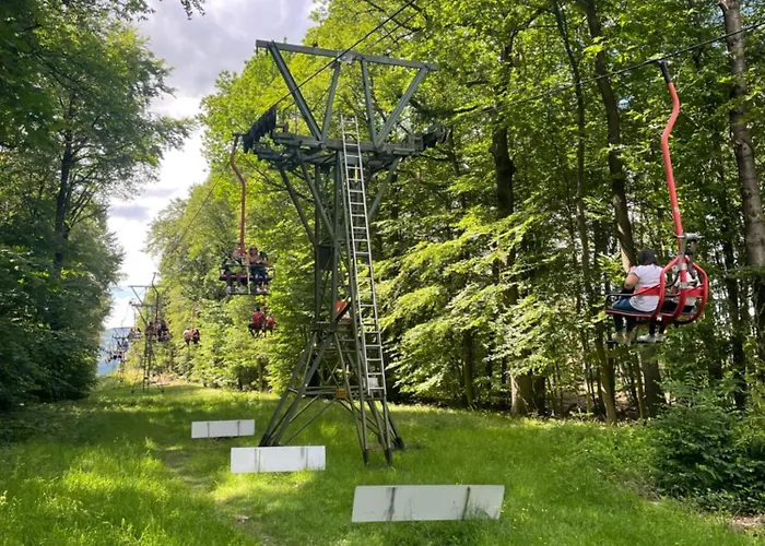 Grosse Direkt An Den Weinbergen