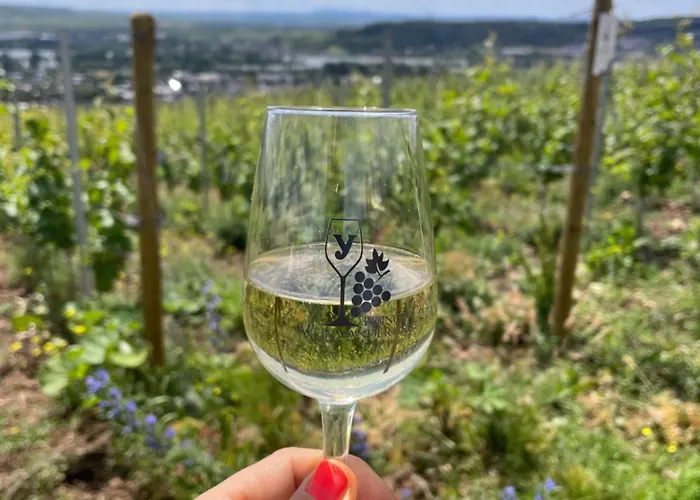 Апартаменты Grosse Direkt An Den Weinbergen Рюдесхайм-на-Рейне