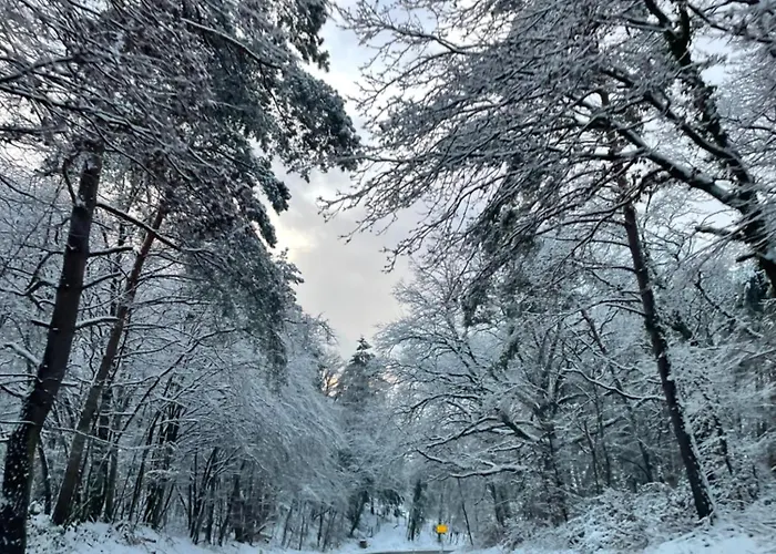 Апартаменты Grosse Direkt An Den Weinbergen *